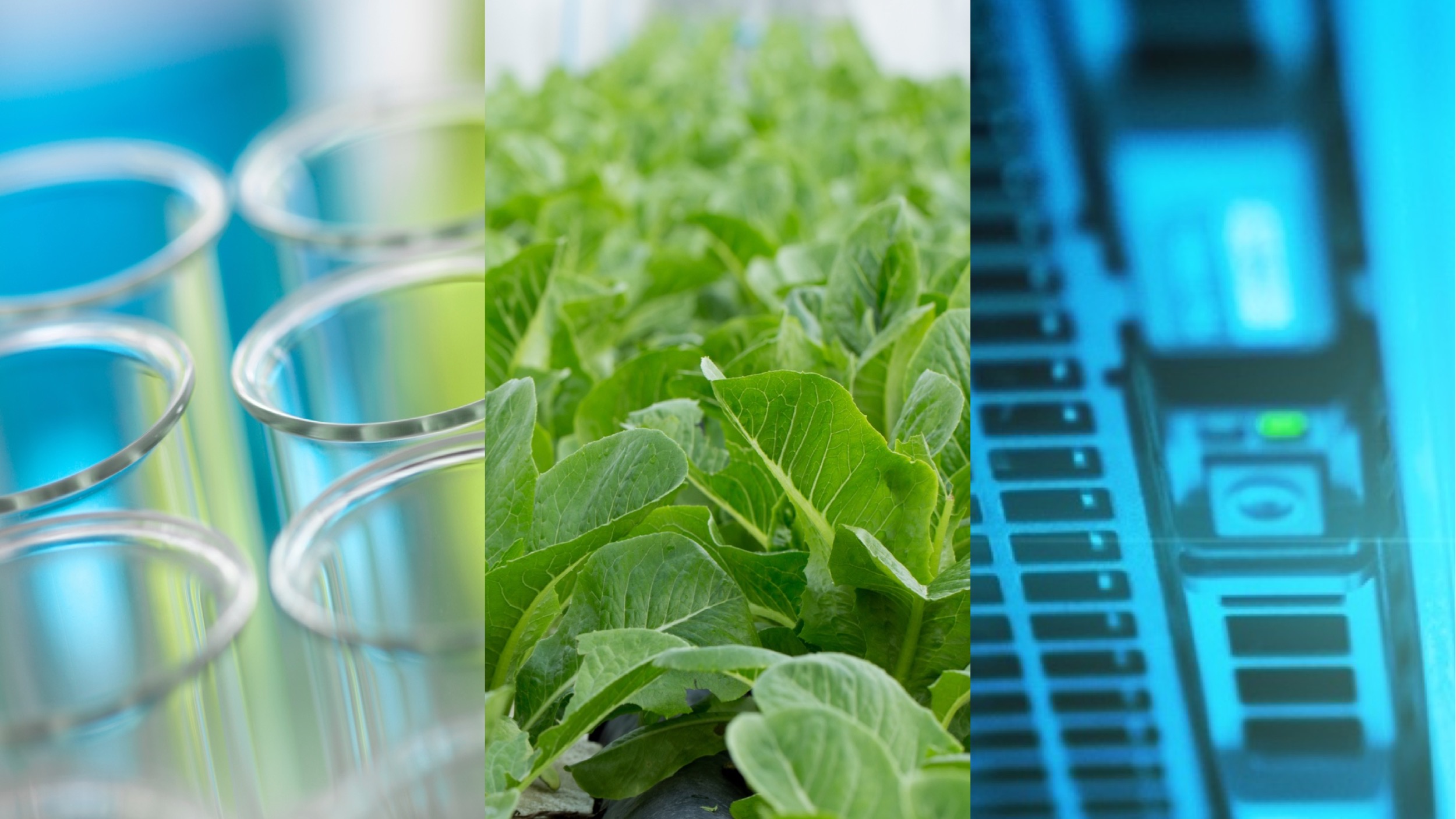 Life Science, Tech, and AgTech